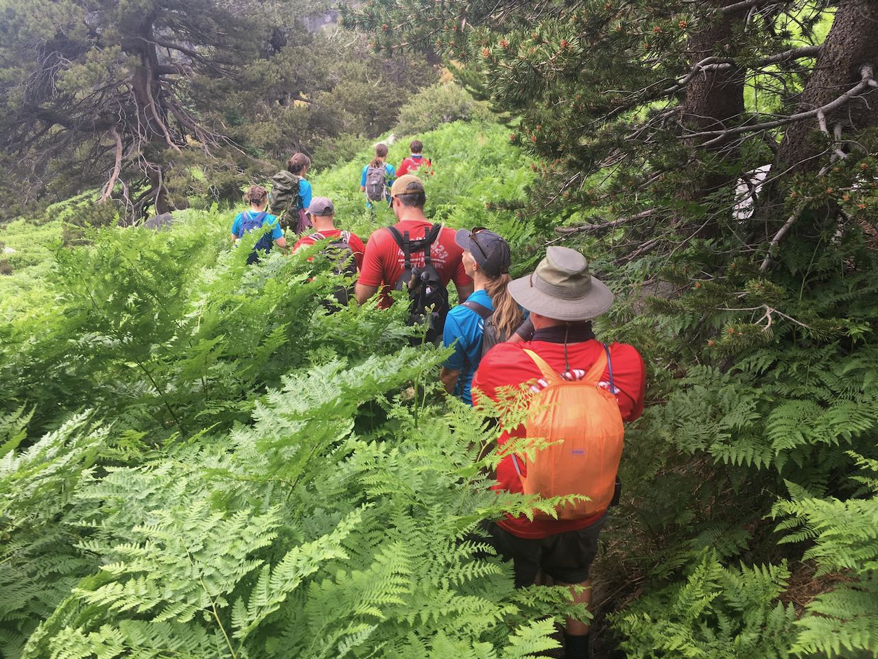 Troop on the trail