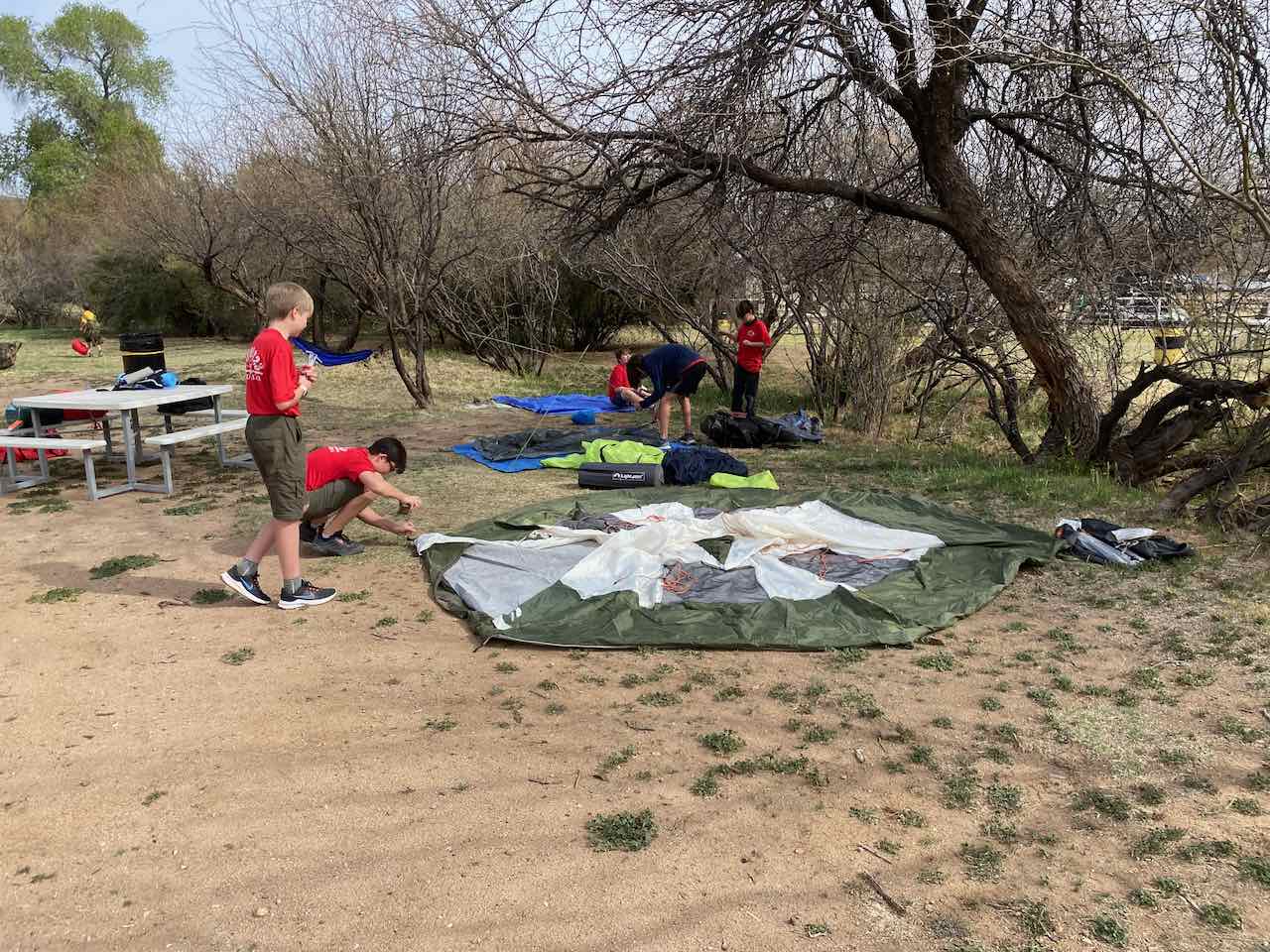 Scouts setting up tents