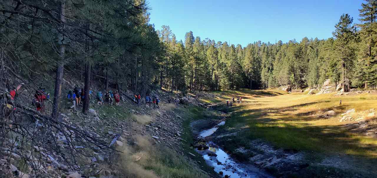 Scouts Hiking