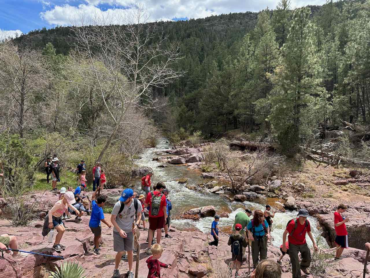 Scouts hiking