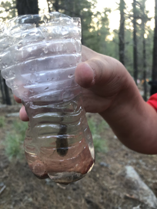 image_2025-11-11_171810225