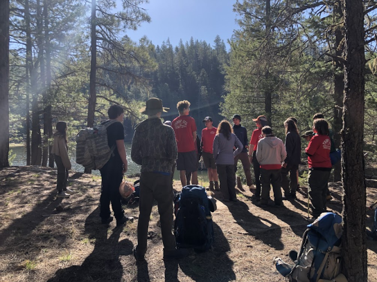 image_2025-11-11_171834418